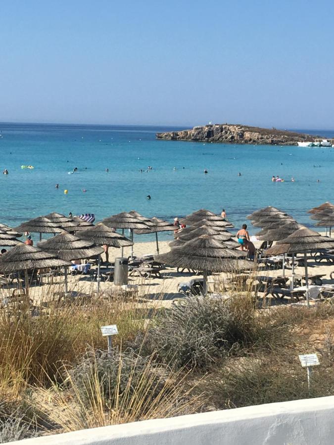 Narcissos 'nissi Beach' C2 Leilighet Ajía Nápa